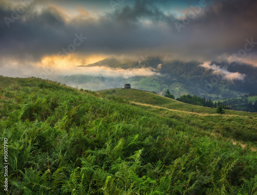 Summer morning in the Carpathian Mountains. Morning fog in the mountains. Nature of Ukraine