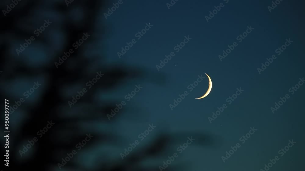 Crescent Moon, stars, planets and landscape scenery silhouettes. Crescent Moon, stars, planets and landscape scenery silhouettes.