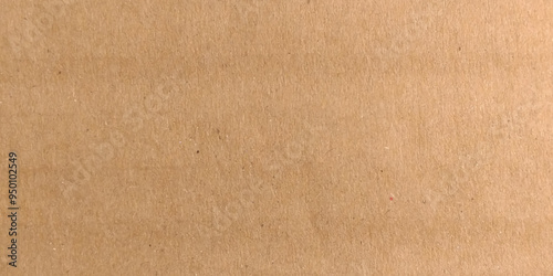 Brown Cardboard Texture Background. Photo made in high quality photo studio. Brown corrugated cardboard useful as a background
