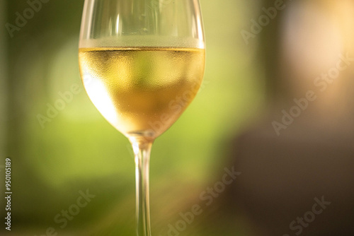 Canvas-taulu A chilled glass of crisp white wine catches the light, enhancing the mood of a leisurely summer day outdoors