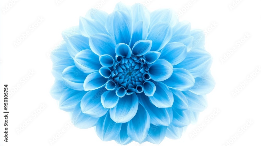 A blue flower with a white background. The flower is the main focus of the image. The blue color of the flower is vibrant and eye-catching, while the white background provides a clean A blue flower with a white background. The flower is the main focus of the image. The blue color of the flower is vibrant and eye-catching, while the white background provides a clean