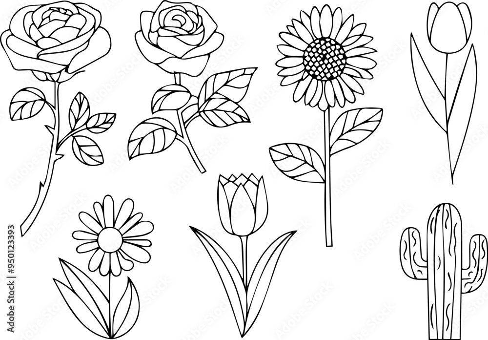 Rose, sunflower, tulip flowers vector outline on a white background, clipart, cutout Rose, sunflower, tulip flowers vector outline on a white background, clipart, cutout
