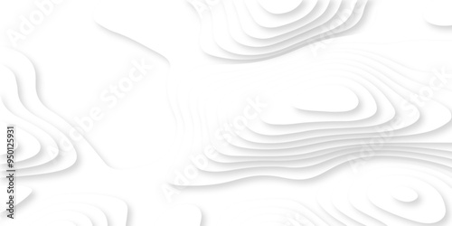 Abstract luxury white modern 3d papercut, topography map circle and wave line smooth multilayer pattern. vector white art papercut design Topographic geometric map relief texture with curved layers.