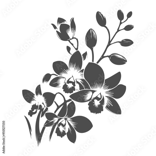 Black silhouette of dendrobium flower. Floral drawing vector illustration. 