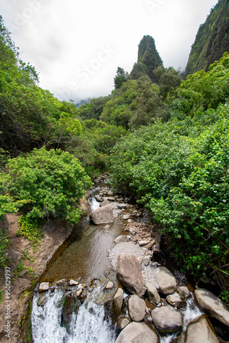 Iao valley state park in Maui, Hawaii in summer 2024 photo