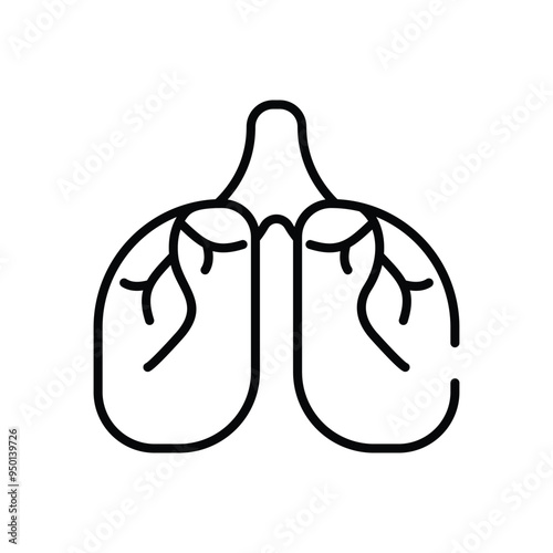 Lungs vector icon