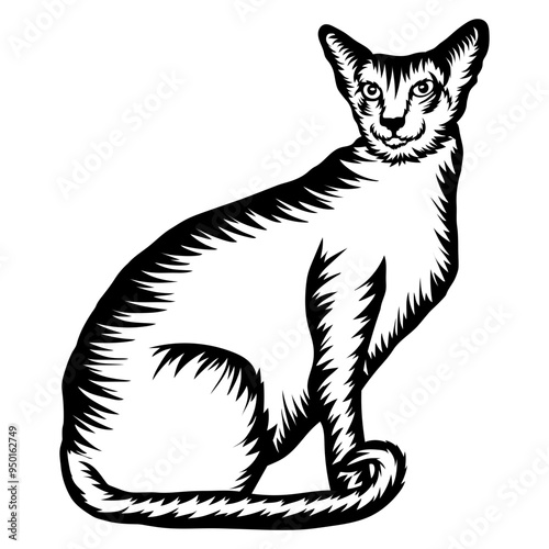 Balinese Cat