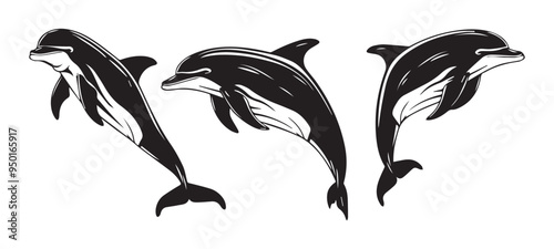 Dolphins in Black and White Vintage Woodcut Style Vector Illustration Set