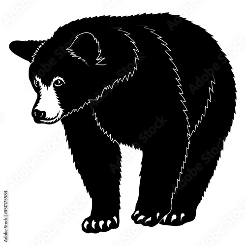 Black Bear
