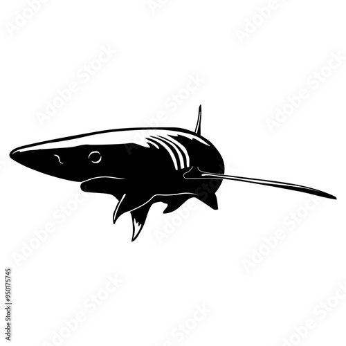 Blue Shark