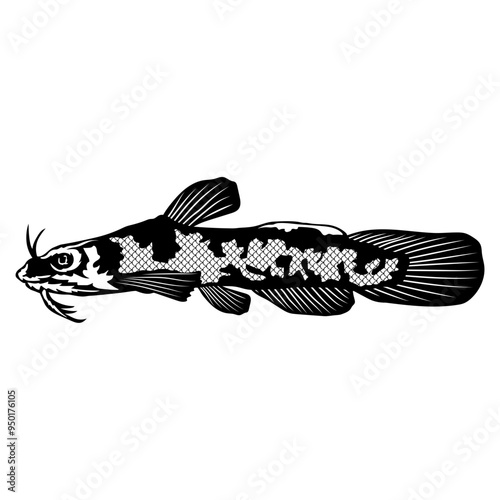 Brindled Madtom  Fish