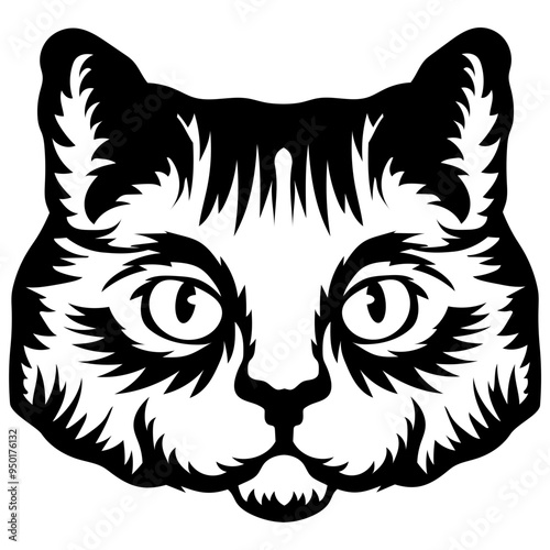 British Shorthair Cat Face