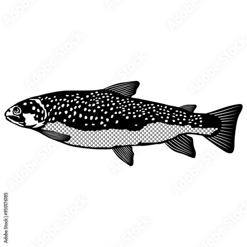 Brown Trout  Fish