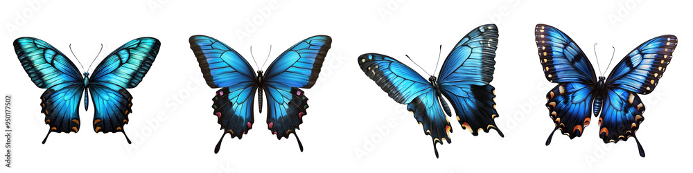 A stunning collection of blue butterflies showcasing intricate details and vibrant colors, perfect for nature and beauty themes. A stunning collection of blue butterflies showcasing intricate details and vibrant colors, perfect for nature and beauty themes.