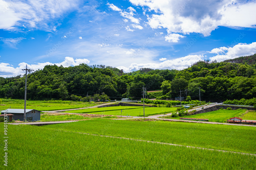 夏の終わり頃の田園風景 夏の終わり頃の田園風景