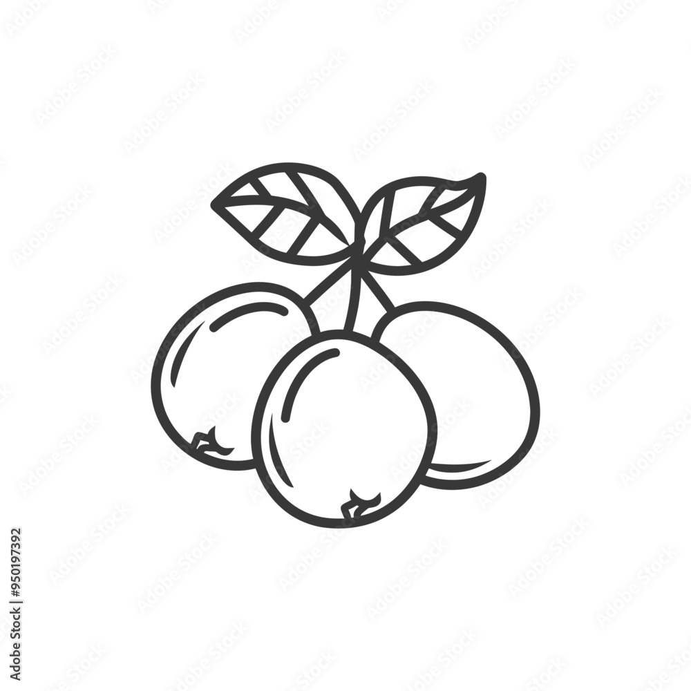 Line Drawing of Three Cherries with Leaves Line Drawing of Three Cherries with Leaves