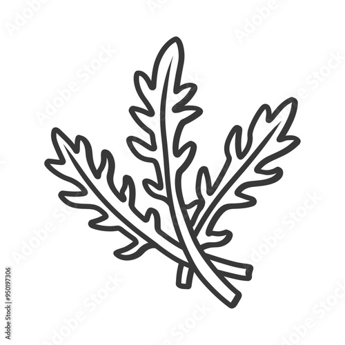 Line Drawing of Three Arugula Leaves