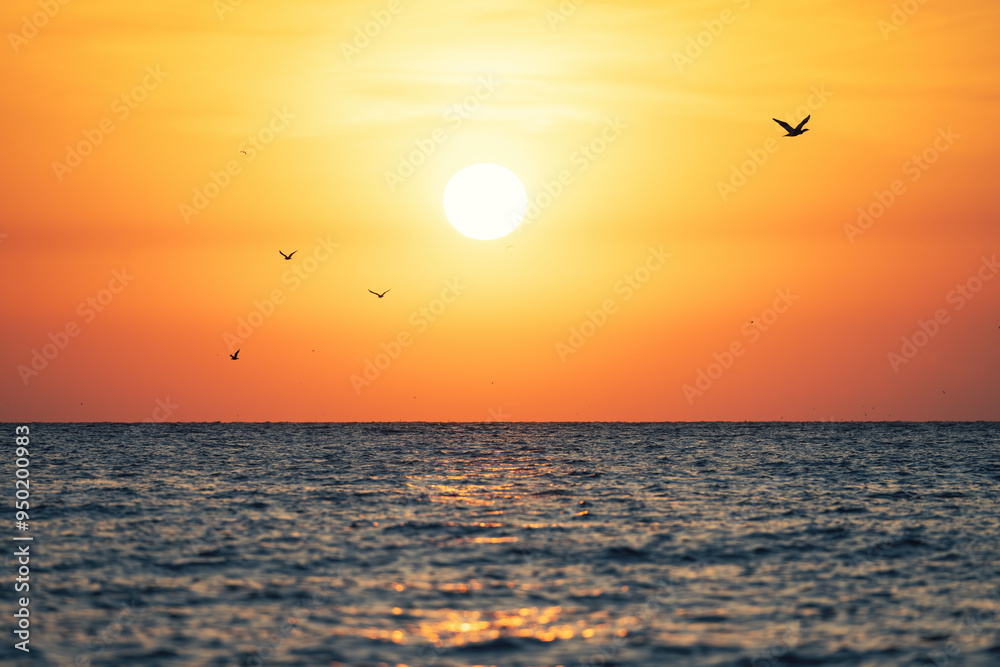 Beautiful sunrise over the sea and flying freedom birds in the golden sky Beautiful sunrise over the sea and flying freedom birds in the golden sky