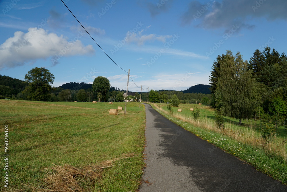 Fototapeta premium Rural road and meadow with grass