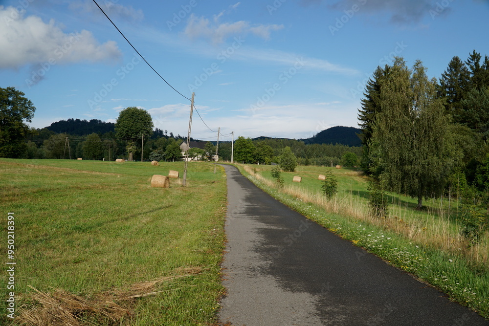 Rural road and meadow with grass Rural road and meadow with grass