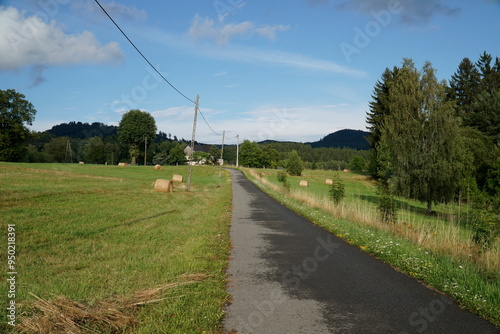 Rural road and meadow with grass