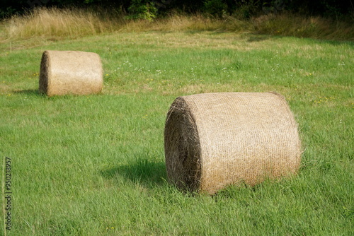 Round bales of hay on meadow photo