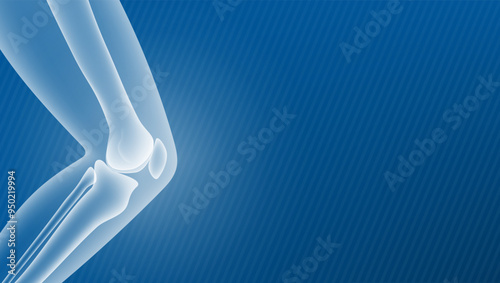 Medical X-Ray Style Leg Bone And Knee Joint