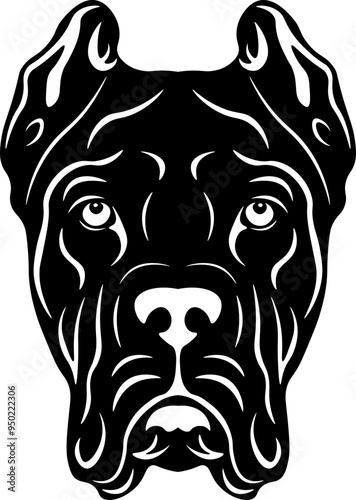 Cane Corso