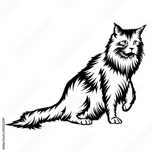 Cat Collection Extra Files - Maine Coon Cat