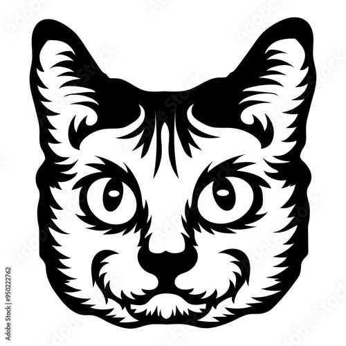 Chartreux Cat Face