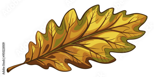 Oak leaf. Oak leaf on a white background. Vector illustration