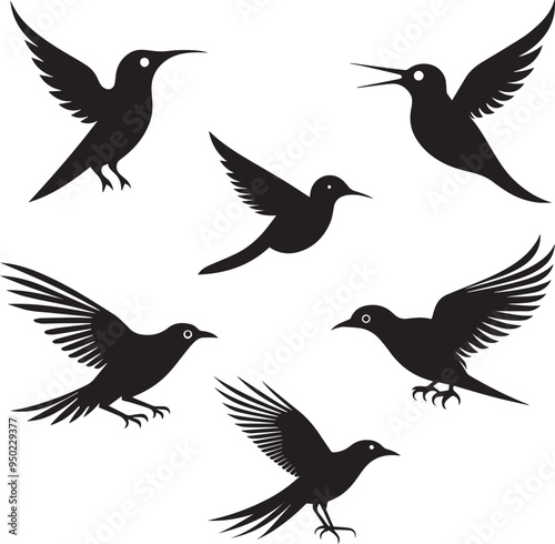 Bird silhouette set vector image photo