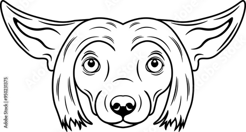 Chinese Crested