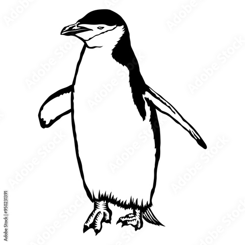 Chinstrap Penguin