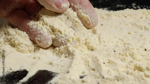 Hand Sifting Through Flour Infested with Tribolium Confusum Beetles, Tiny Insects Visible Among the Granules, Indicating Spoiled Product. photo