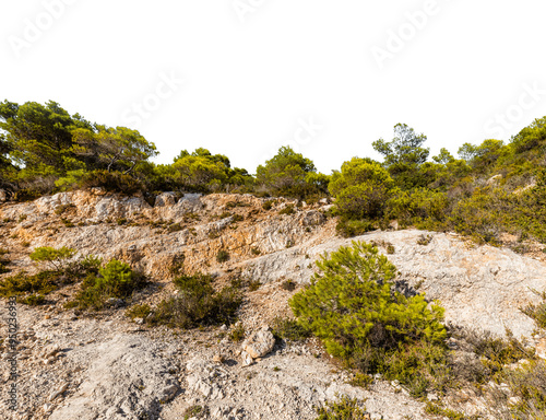 Konstfotografi Sunny rocky hillside with green pine trees. Cut out on white