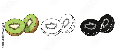 Kiwi fruit vector illustration, outline, silhouette on white background