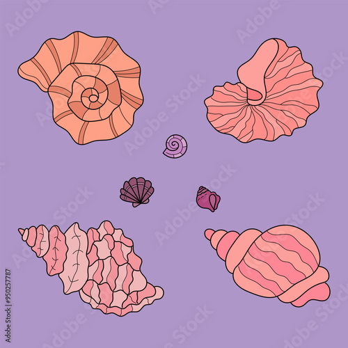 A set of delicate pink seashells