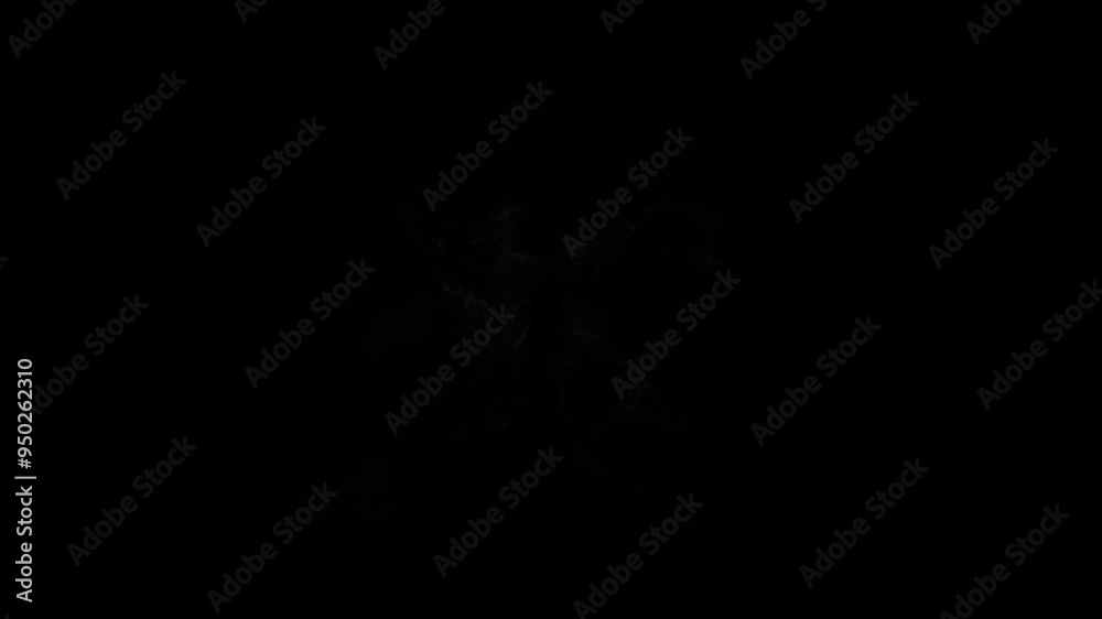 4k White Particles Explosion. Motion Black Background. Magic glitters particle. Shockwave burst. Isolated on black. Animated Overlay 4k White Particles Explosion. Motion Black Background. Magic glitters particle. Shockwave burst. Isolated on black. Animated Overlay