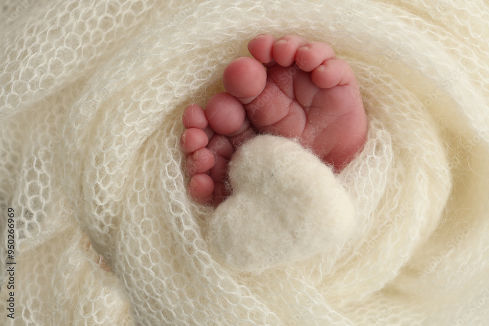 The tiny foot of a newborn baby. Soft feet of a new born in a white wool blanket. Close up of toes, heels and feet of a newborn. Knitted white heart in the legs of a baby. Macro photography. The tiny foot of a newborn baby. Soft feet of a new born in a white wool blanket. Close up of toes, heels and feet of a newborn. Knitted white heart in the legs of a baby. Macro photography.