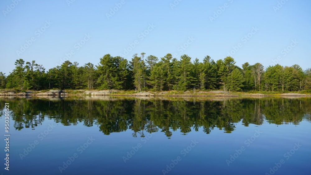 Fototapeta premium reflection of trees in water
