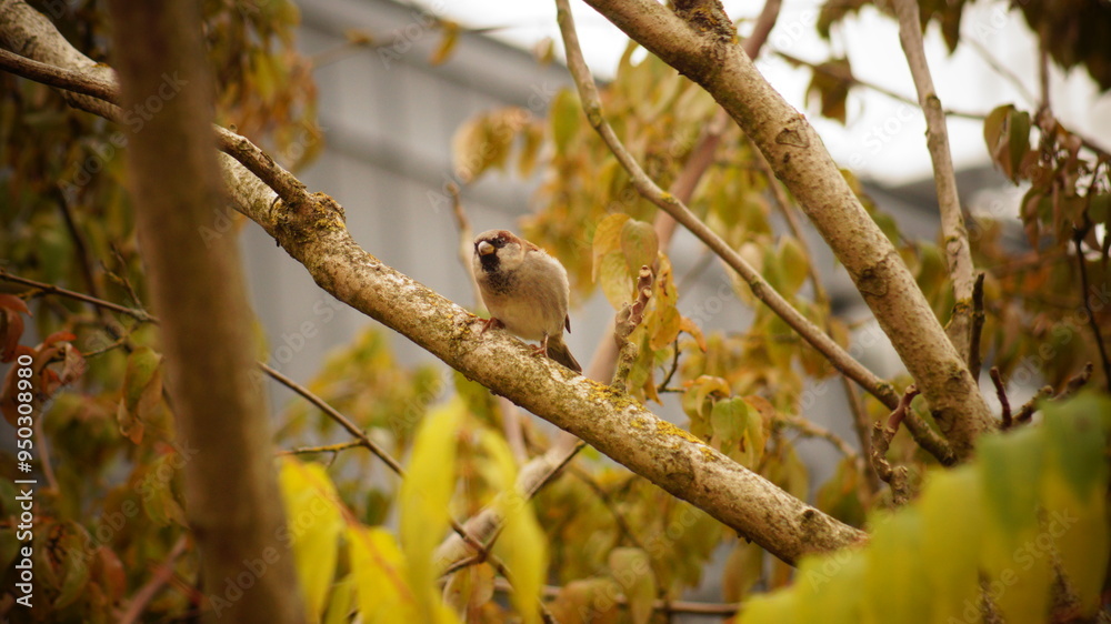 Vogel im Tierpark Bochum