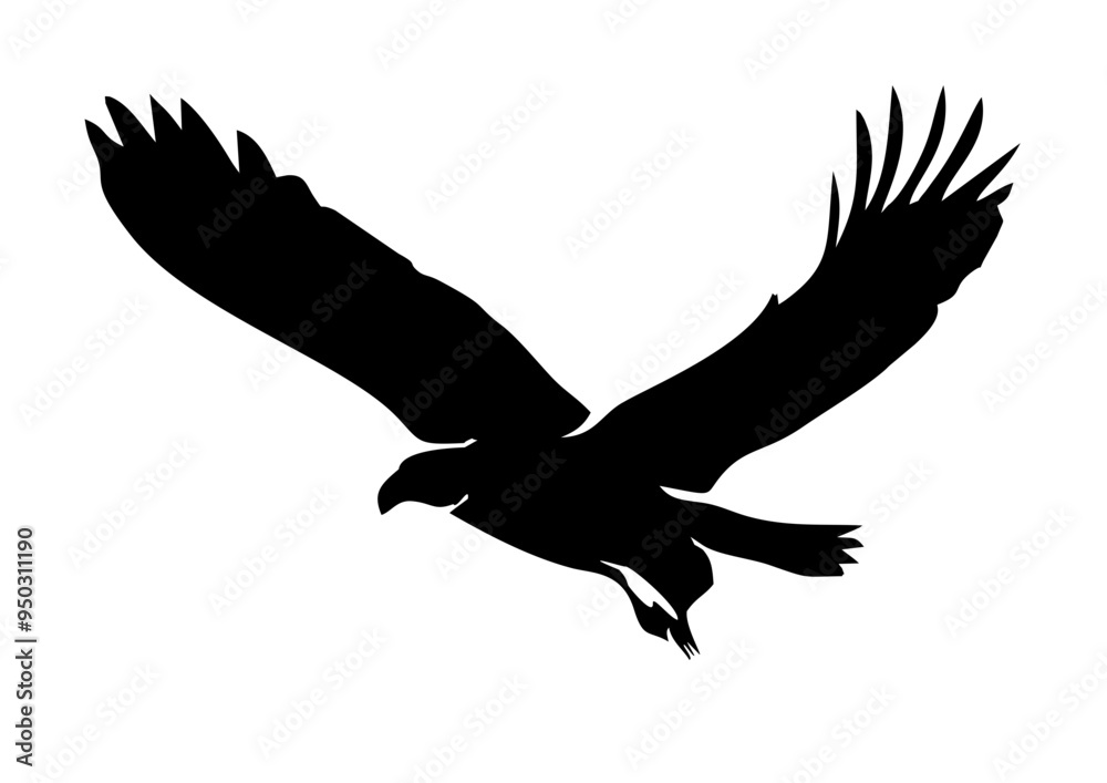 silhouette of a eagle