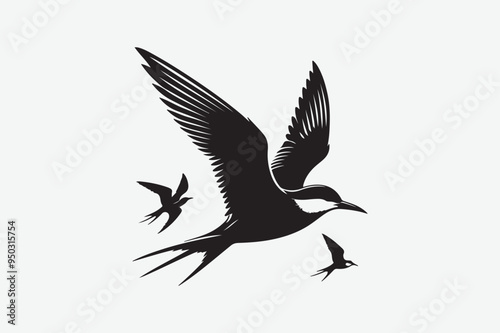 Sparrow  Bird vector art and illustration photo