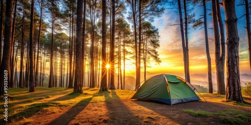 Camping tent under pine forest at sunrise, camping, tent, pine forest, sunrise, nature, outdoor, adventure, wild, wilderness