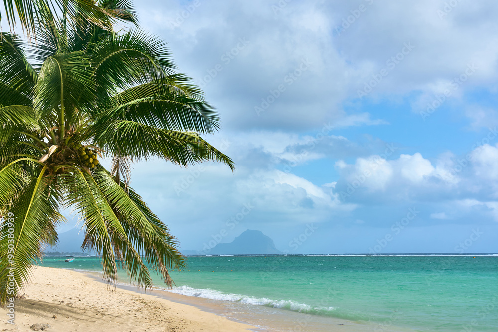 Wild tropical beach with coconut trees and other vegetation, white sand beach, Mauritius island, Africa Wild tropical beach with coconut trees and other vegetation, white sand beach, Mauritius island, Africa