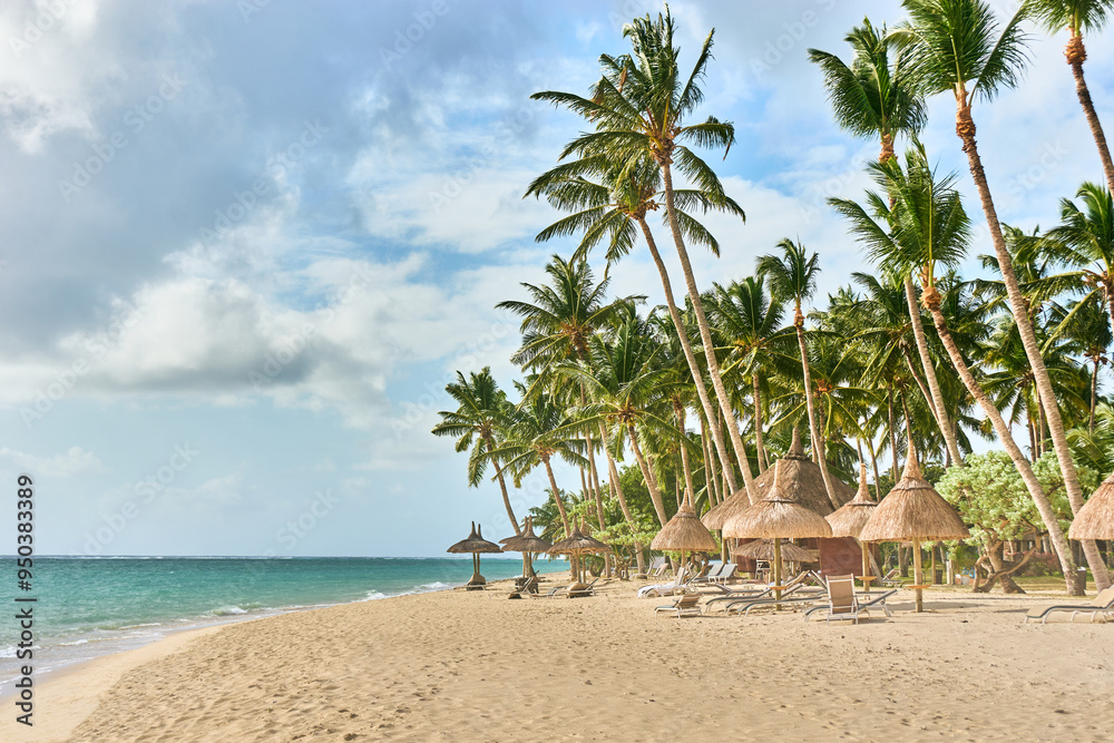Wild tropical beach with coconut trees and other vegetation, white sand beach, Mauritius island, Africa Wild tropical beach with coconut trees and other vegetation, white sand beach, Mauritius island, Africa