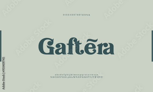 Modern Stylish Serif Balanced Elegant Font Alphabet Vector ABC