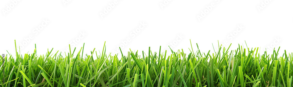 A perfectly manicured strip of artificial turf forming a horizontal decorative border, isolated against a clear white background. The turf is a vibrant green, with each blade of A perfectly manicured strip of artificial turf forming a horizontal decorative border, isolated against a clear white background. The turf is a vibrant green, with each blade of