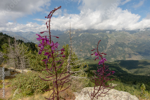 Sampeyre, Val Varaita (Cuneo) photo